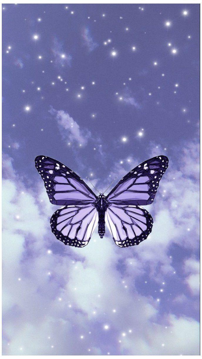 Purple Butterfly iPhone Wallpapers Top Free Purple Butterfly iPhone