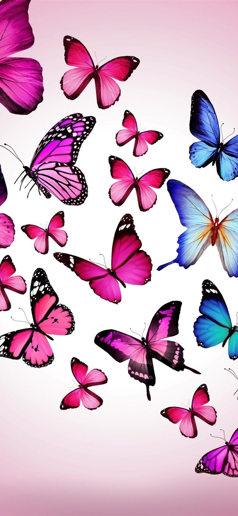 828x1792 Purple And Blue Butterflies 1080x1920 IPhone 8 7 6 6S Plus Wallpaper, Background, Picture, Image