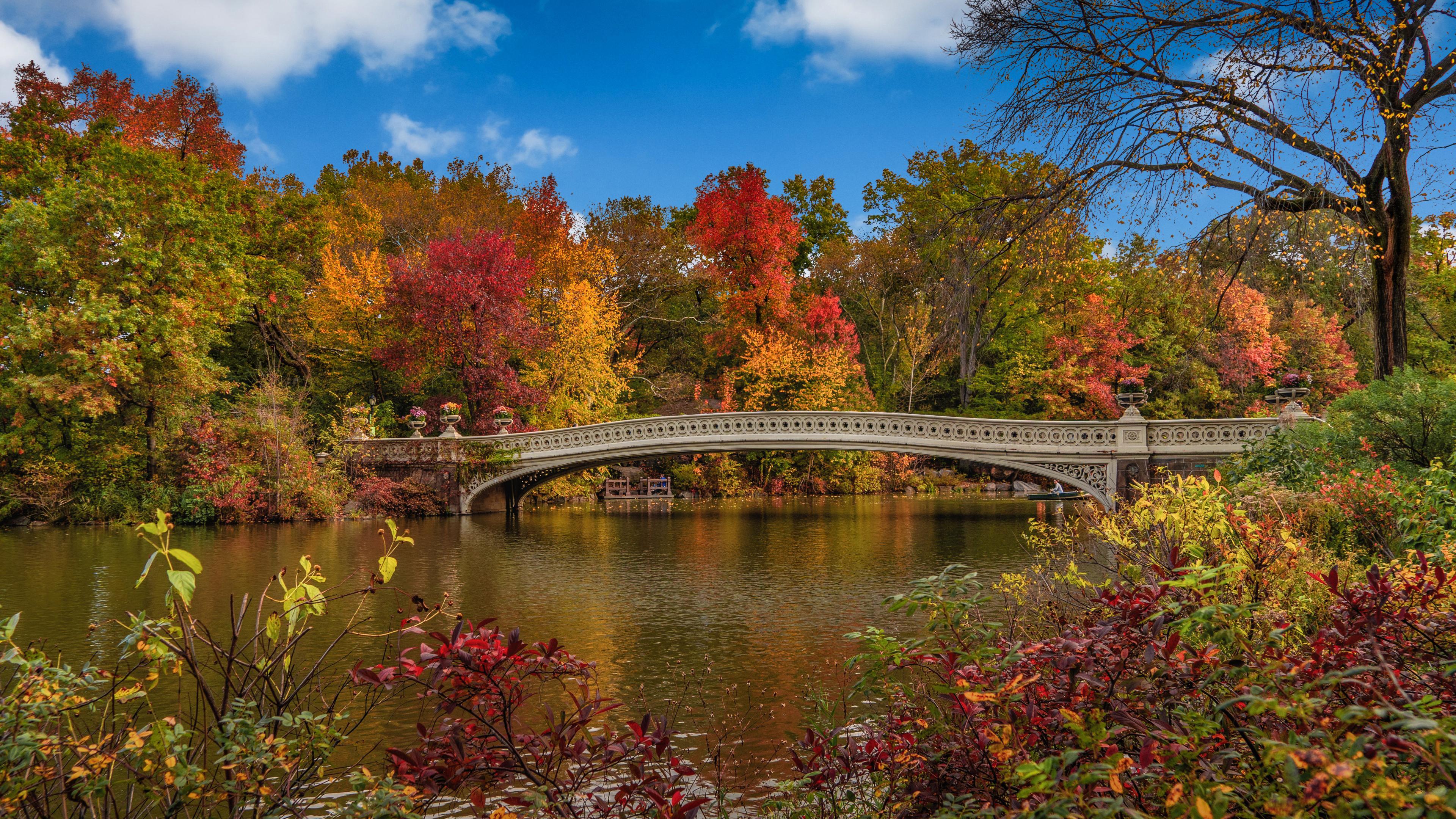 3840x2160 New York USA Central Park Bridge Under Blue Sky And Clouds During Fall 4K HD Nature Wallpaper