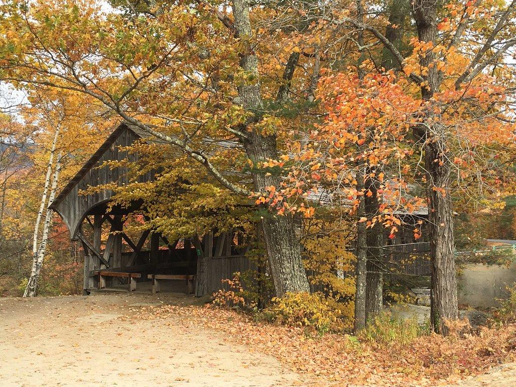 1024x768 Covered Bridge In Autumn Wallpaper