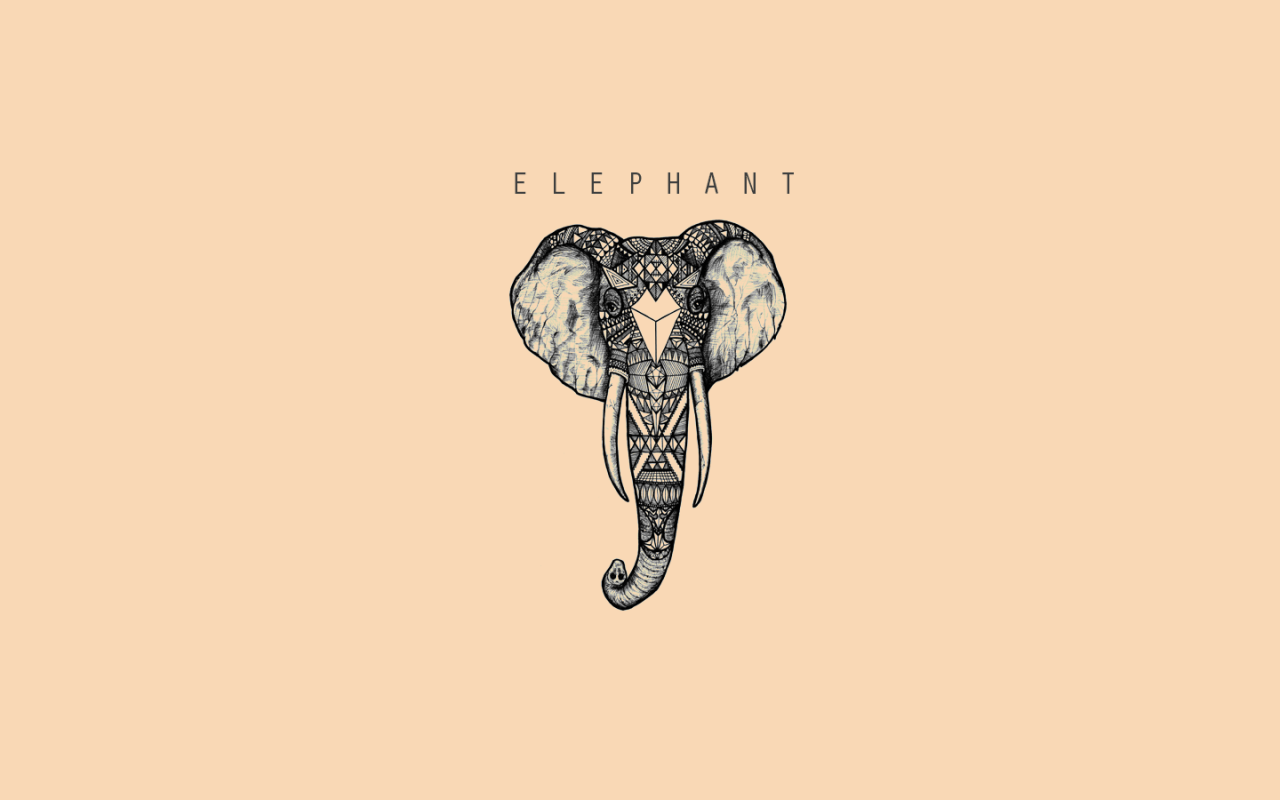 1280x800 ELEPHANT desktop PC and Mac wallpaper
