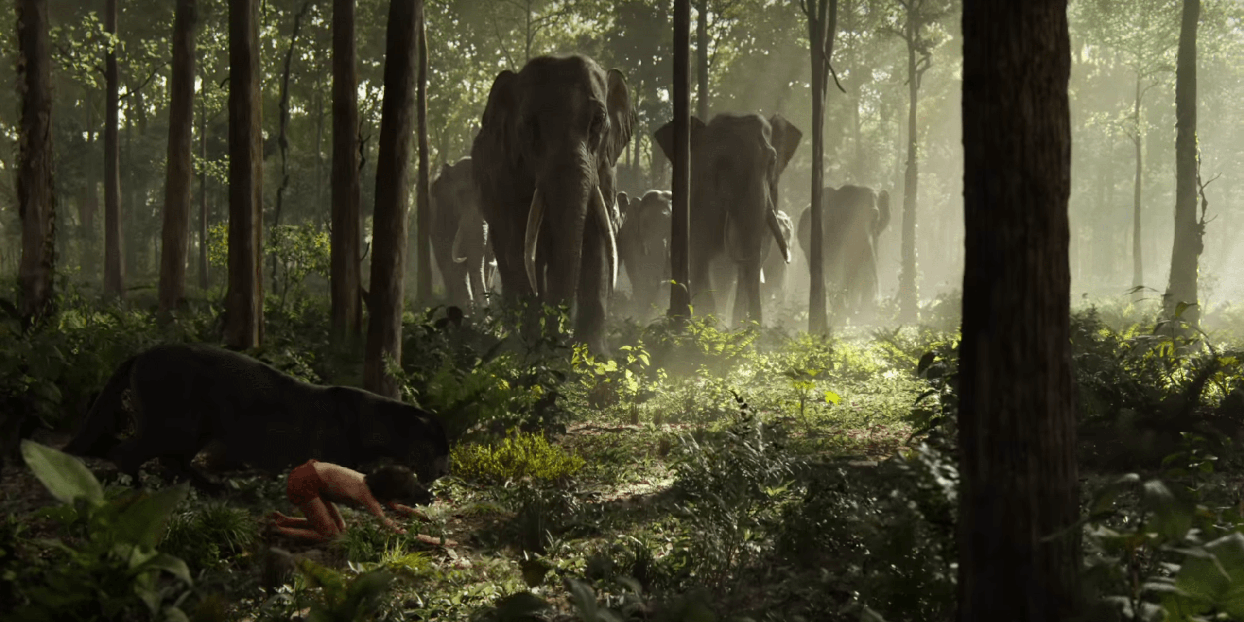 2560x1280 Jungle wallpaper, Earth, HQ Jungle pictureK Wallpaper