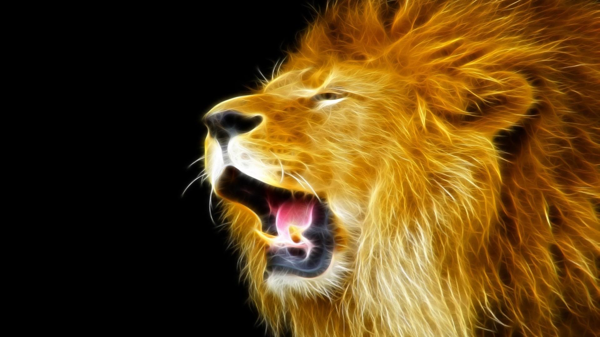 1920x1080 Lion Desktop Wallpaper