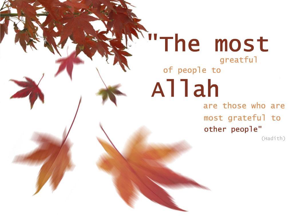 1024x768 The Most Grateful