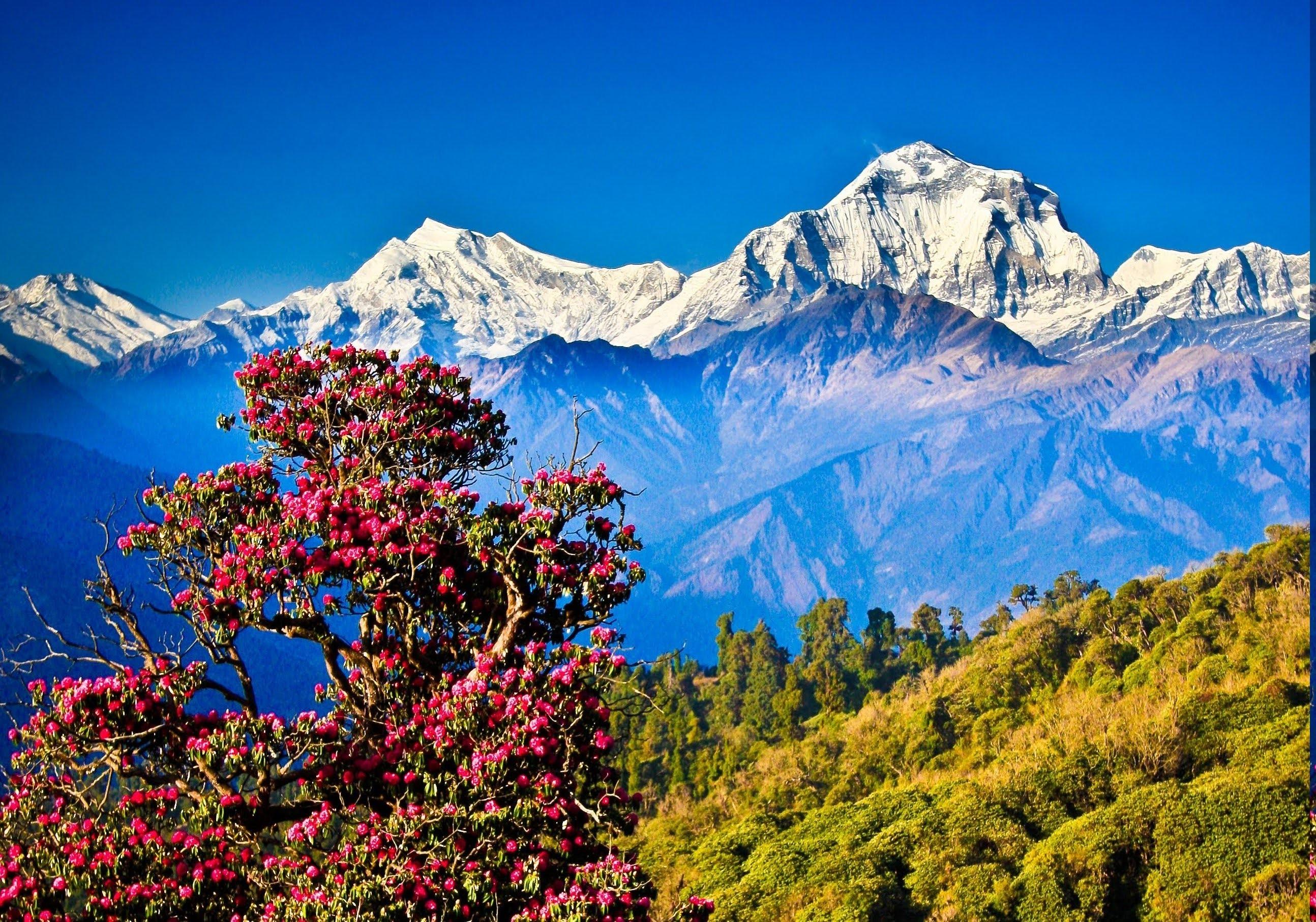 2588x1814 Mountains, 4K, Poon Hill, Nepal, Ghorepani, Sunset