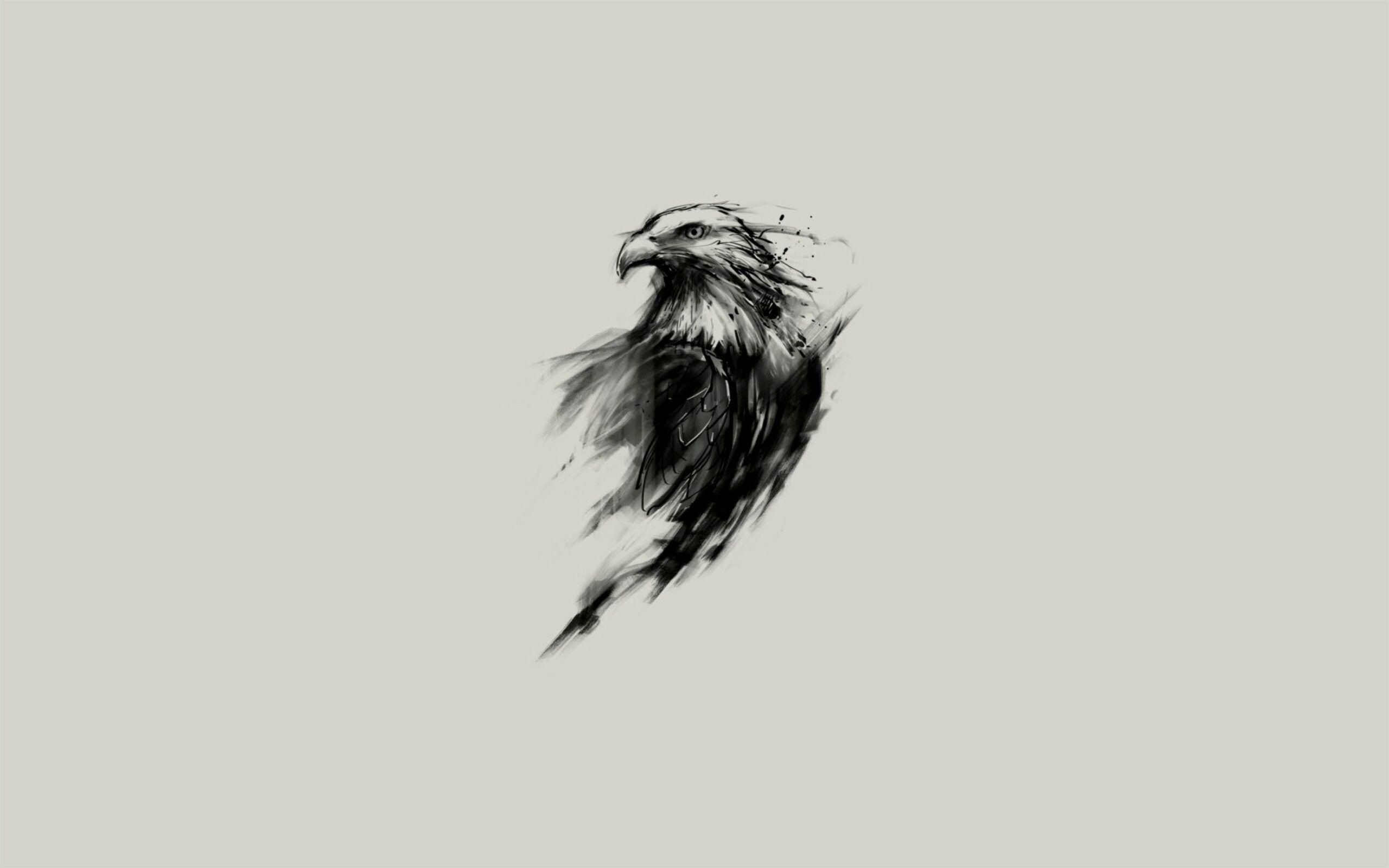 2560x1600 4k Black Eagle Wallpaper. Eagle wallpaper, Abstract wallpaper, Simple background