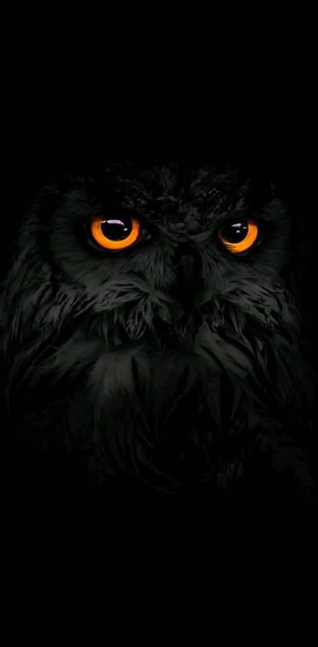 630x1280 Black eagle wallpaper