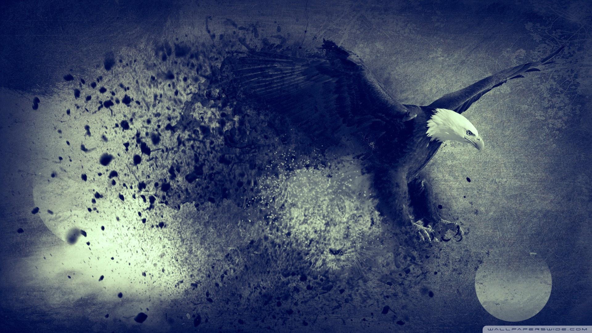 1920x1080 Eagle For Freedom Eagle Background