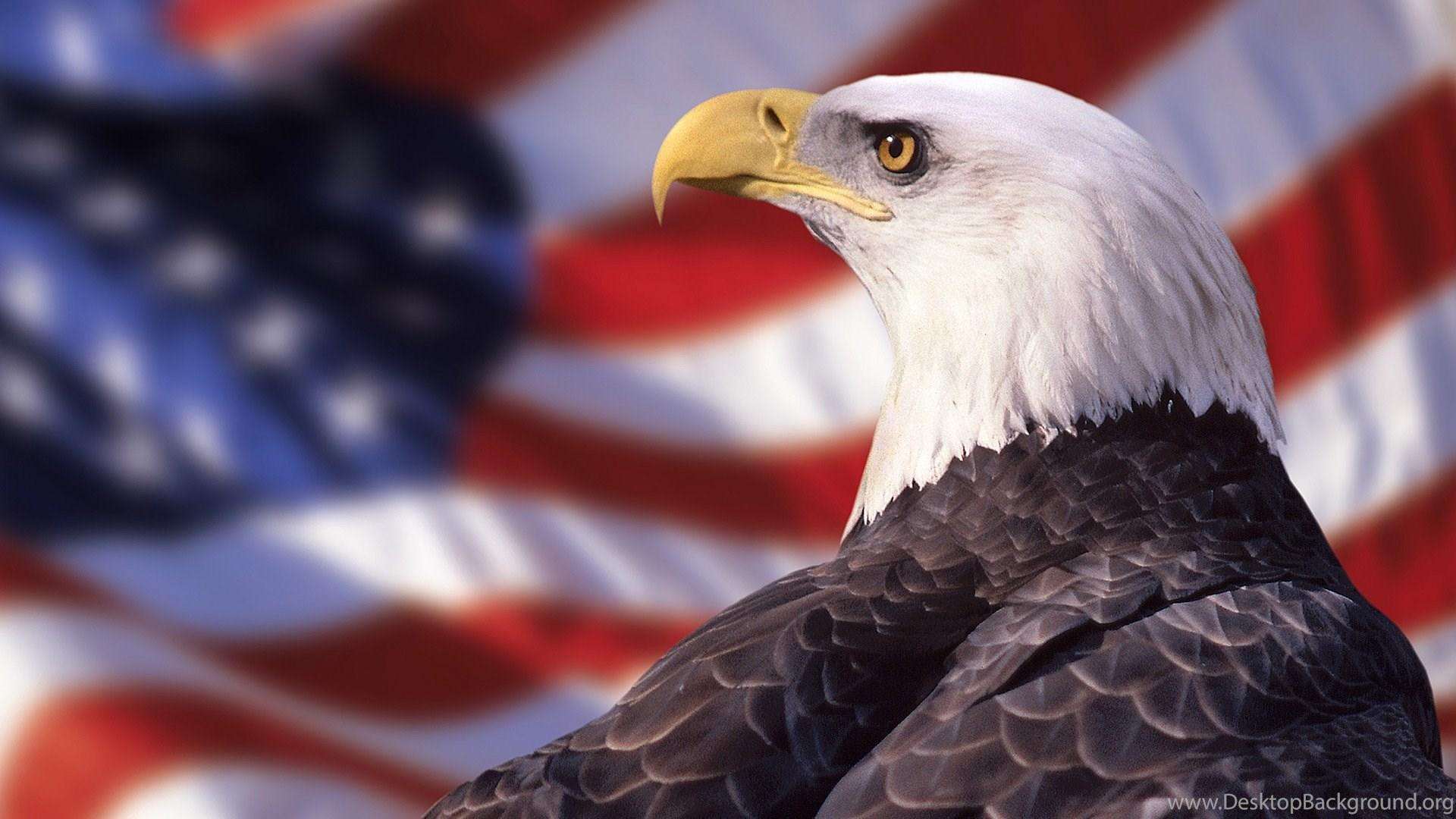 1920x1080 Red Eagle Wallpaper Desktop Background