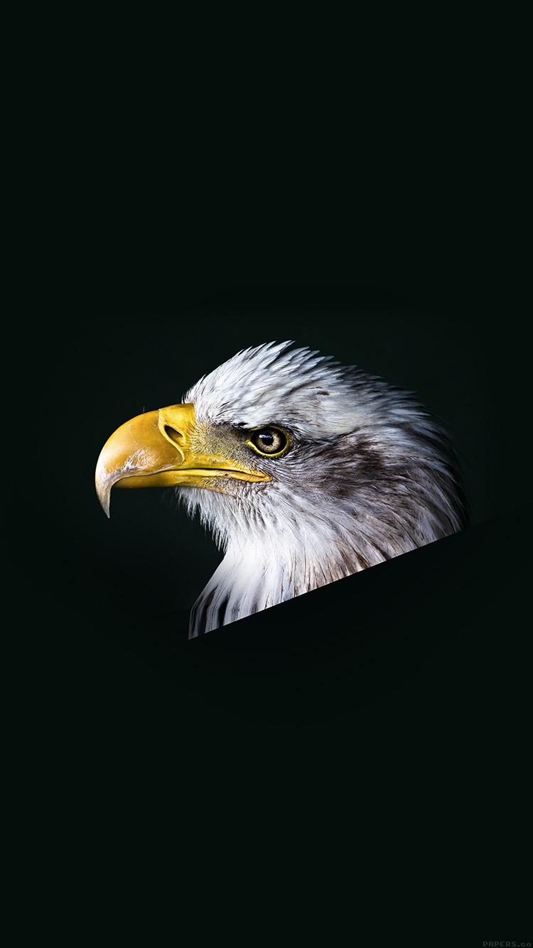 750x1334 iPhoneXpapers dark animal bird face