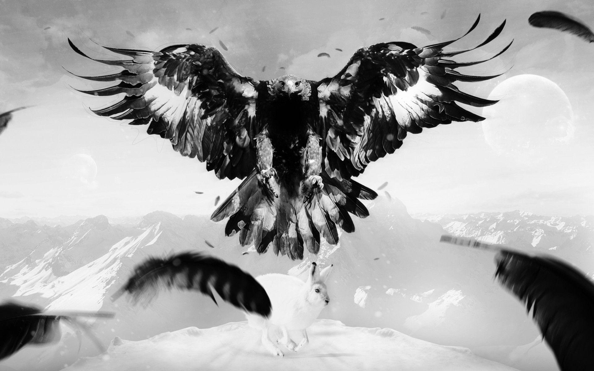 1920x1200 1920x1200 black eagle widescreen wallpaper