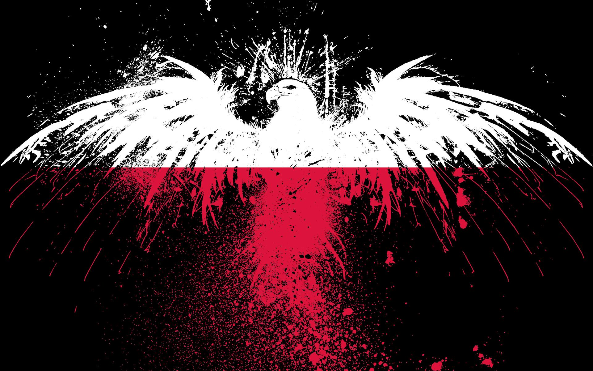 1920x1200 red, white, eagles, flags, Polish, Poland, black background, White Eagle Wallpaper /