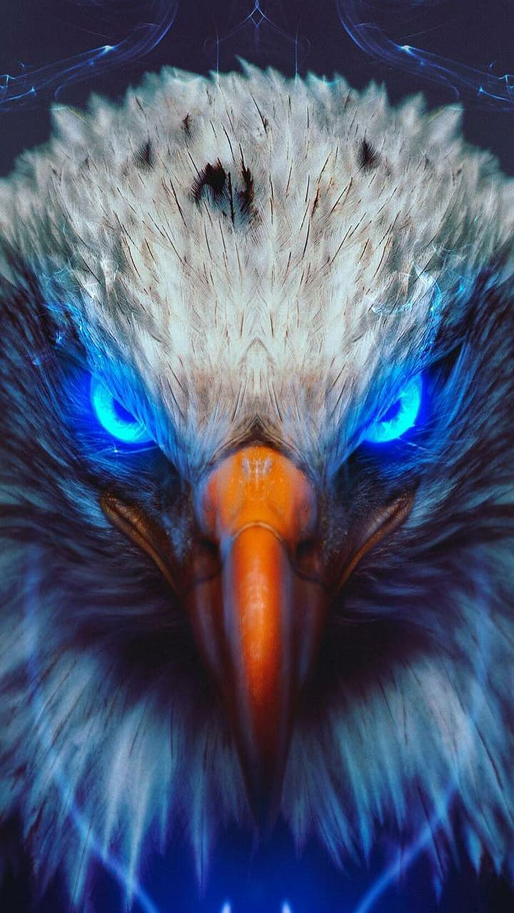 720x1280 Eagle 4k Wallpaper Best Eagle Wallpaper Download