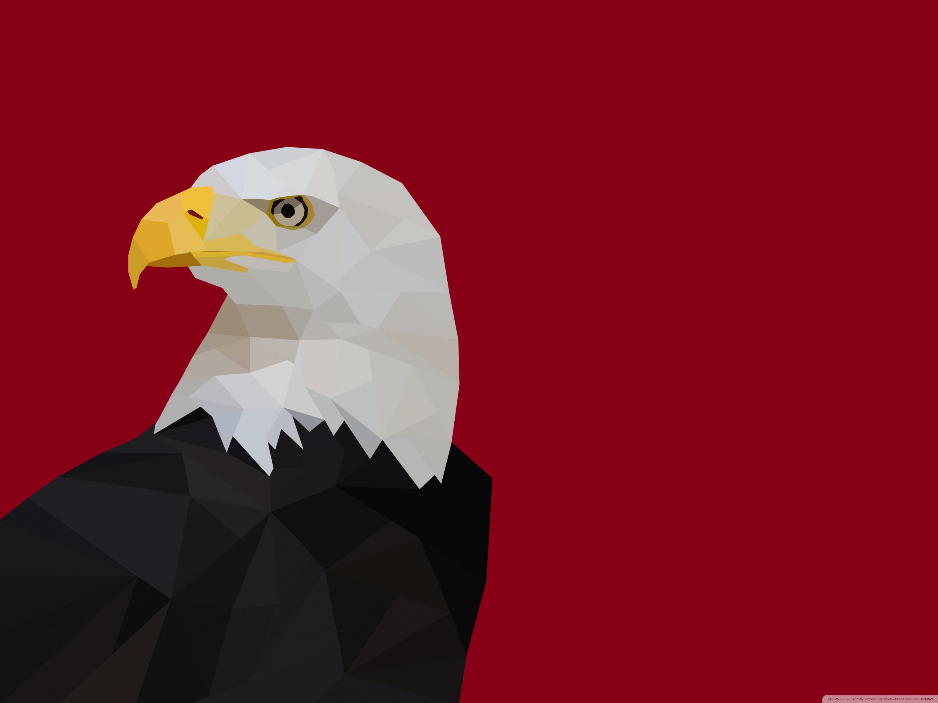 3200x2400 Bald Eagle Polygon Ultra HD Desktop Background Wallpaper for 4K UHD TV : Widescreen & UltraWide Desktop & Laptop : Tablet