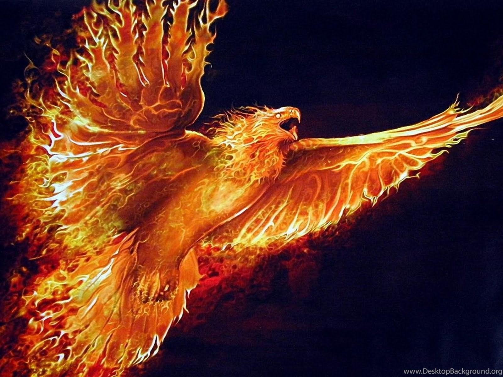 1600x1200 Fire Eagle Wallpaper Picture. Eagle Wallpaper Com. 1600x1200px. Desktop Background