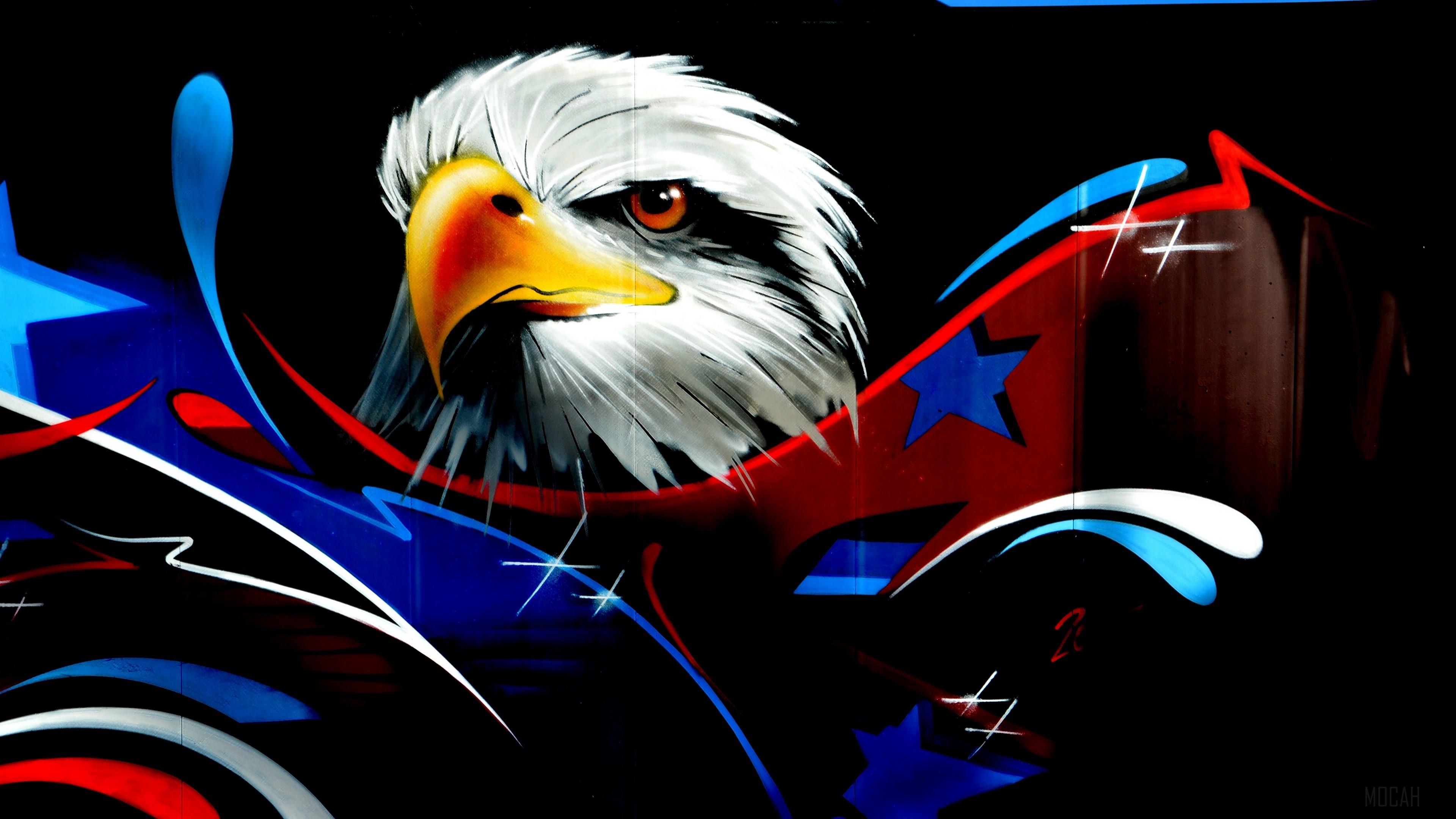 3840x2160 eagle HD wallpaper, Background