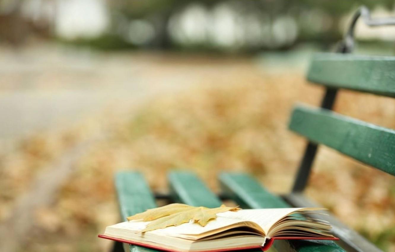 1332x850 Wallpaper abstract, autumn, book, leaf image for desktop, section настроения