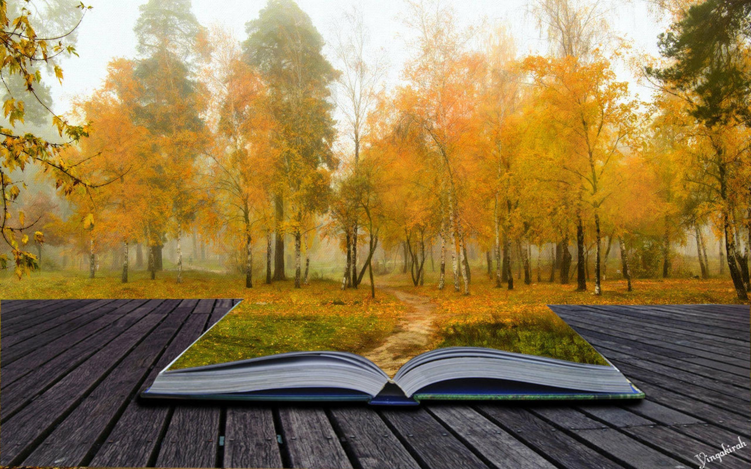 2560x1600 Abstract Book Wallpaper
