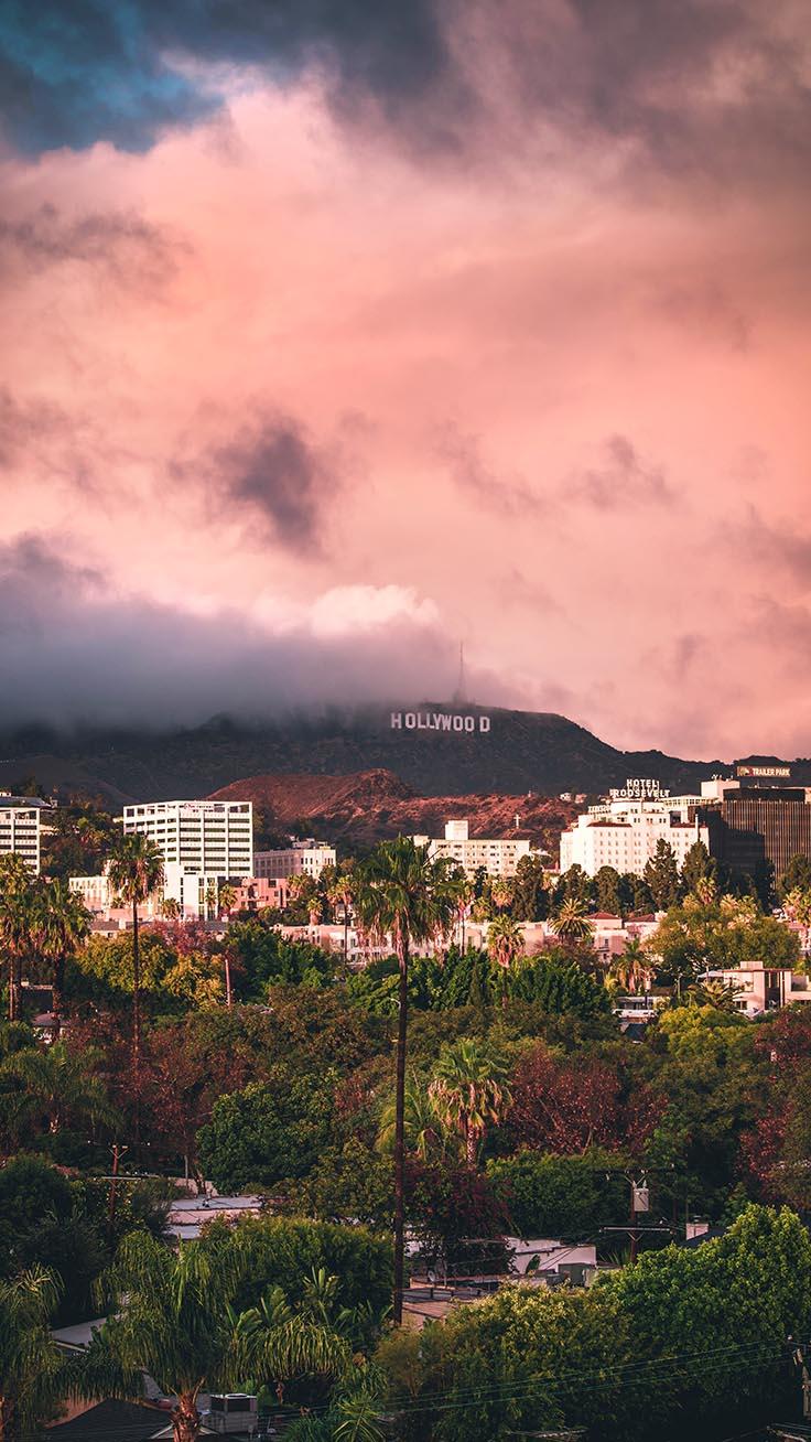 736x1308 Los Angeles Wallpaper