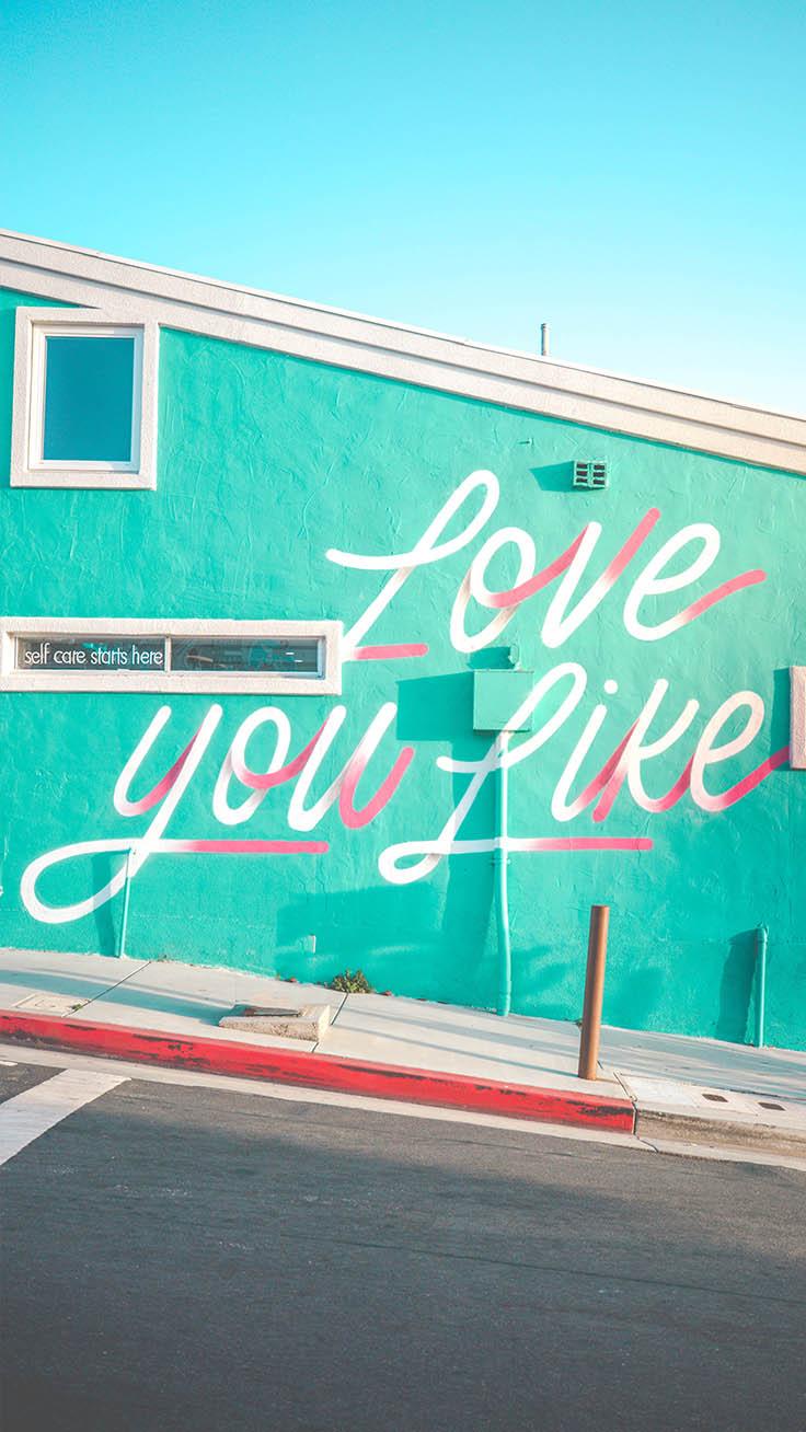 736x1308 Beautiful Los Angeles iPhone Wallpaper