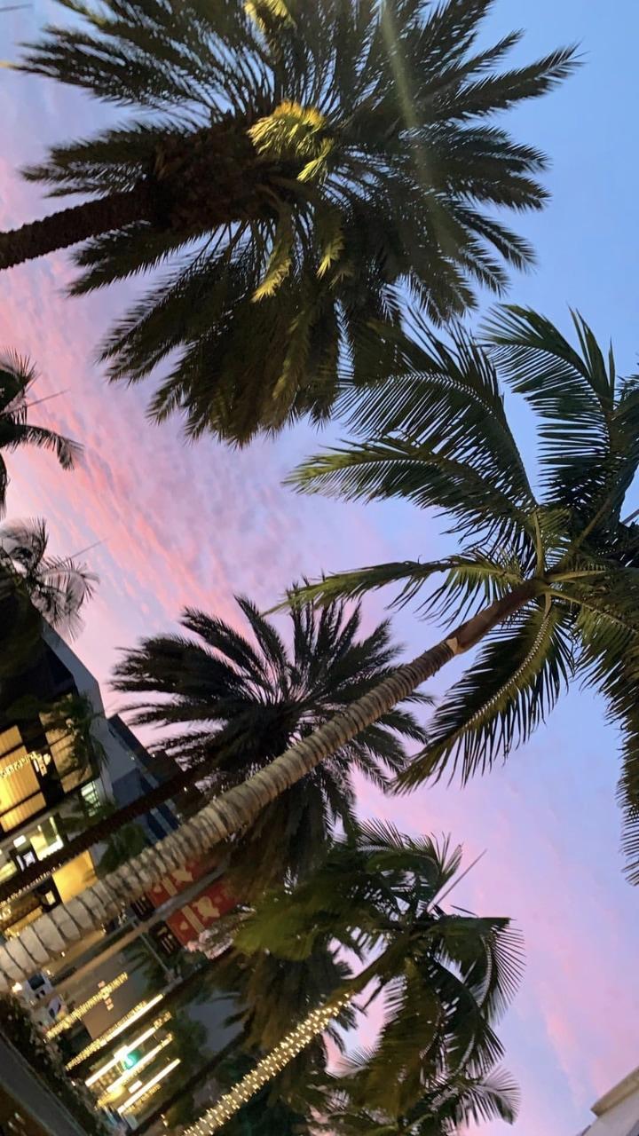 720x1280 los angeles, aesthetic and homescreen