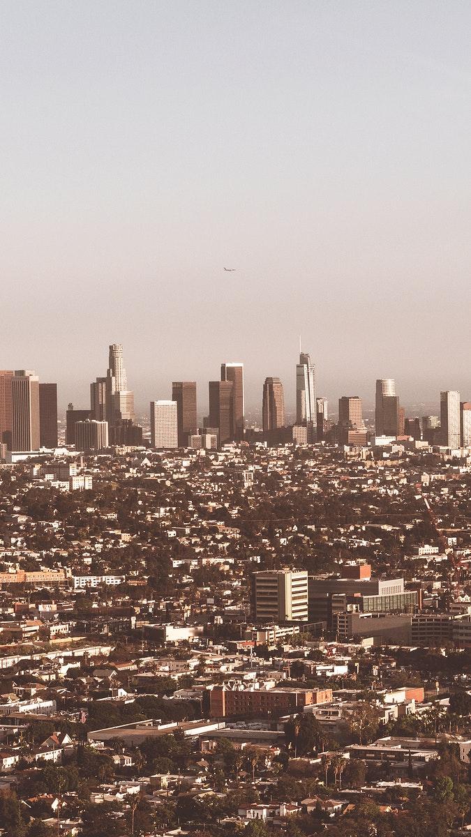 675x1200 View of Los Angeles city