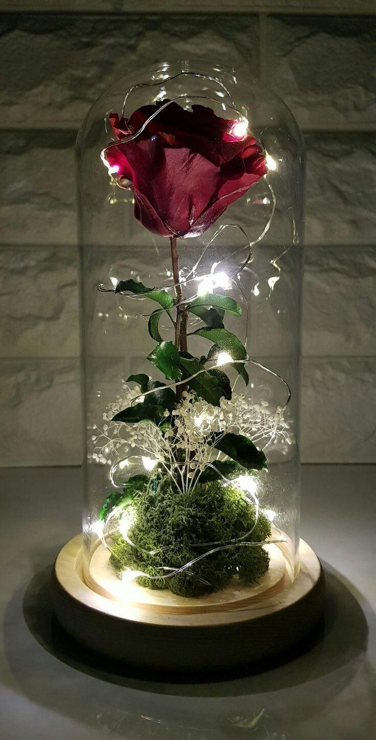 736x1448 The charm of pearls beautiful details amorpeloadetails decorparty wendding. - #lovely. Flower phone wallpaper, Disney wallpaper, Beautiful flowers wallpaper