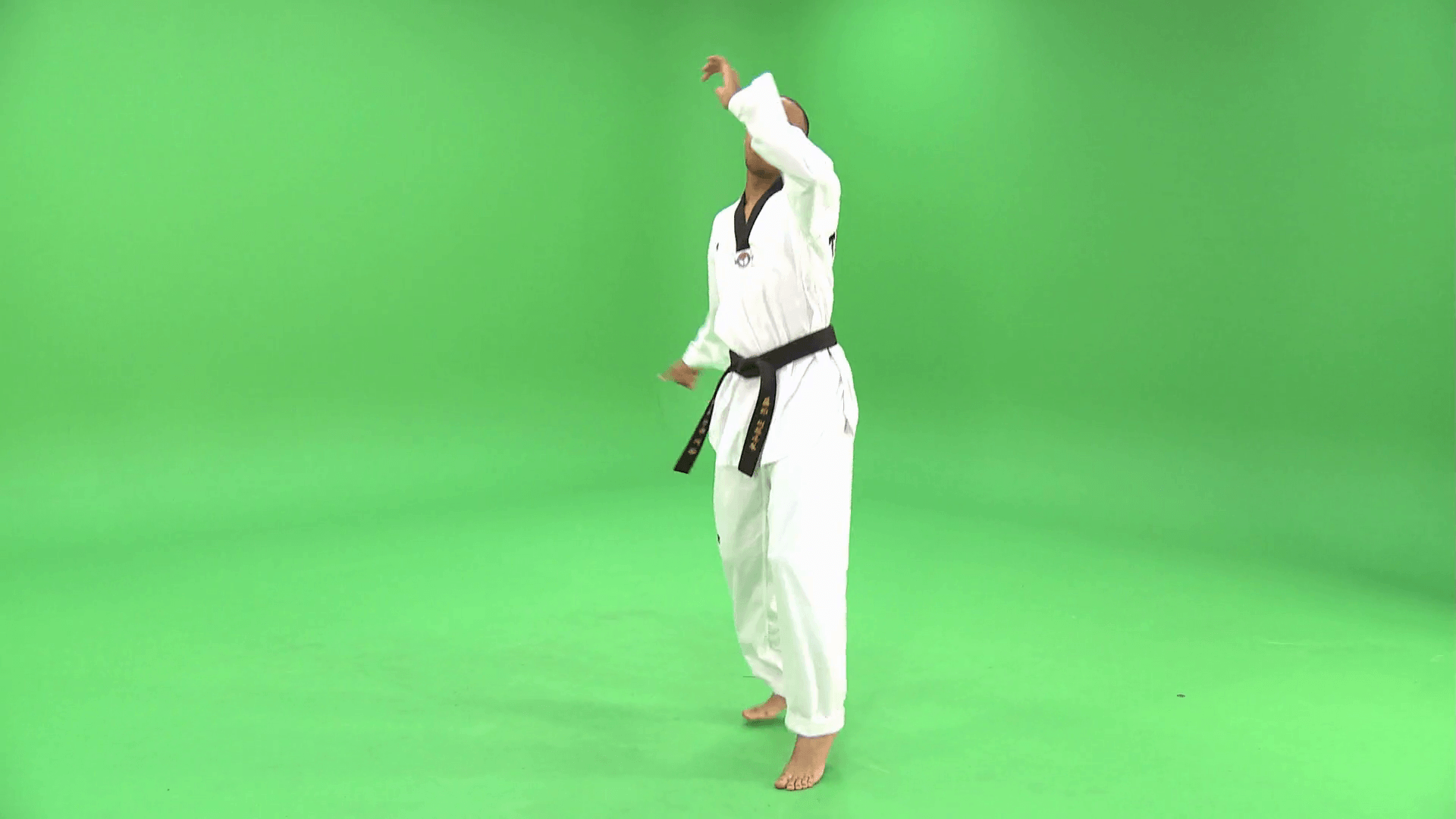 Taekwondo Black Belt Wallpapers Top Free Taekwondo Black Belt Backgrounds WallpaperAccess