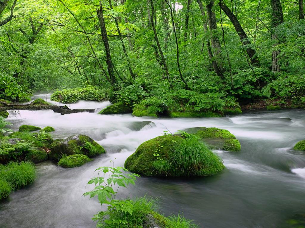 1024x768 River Beautiful Nature 7562 :