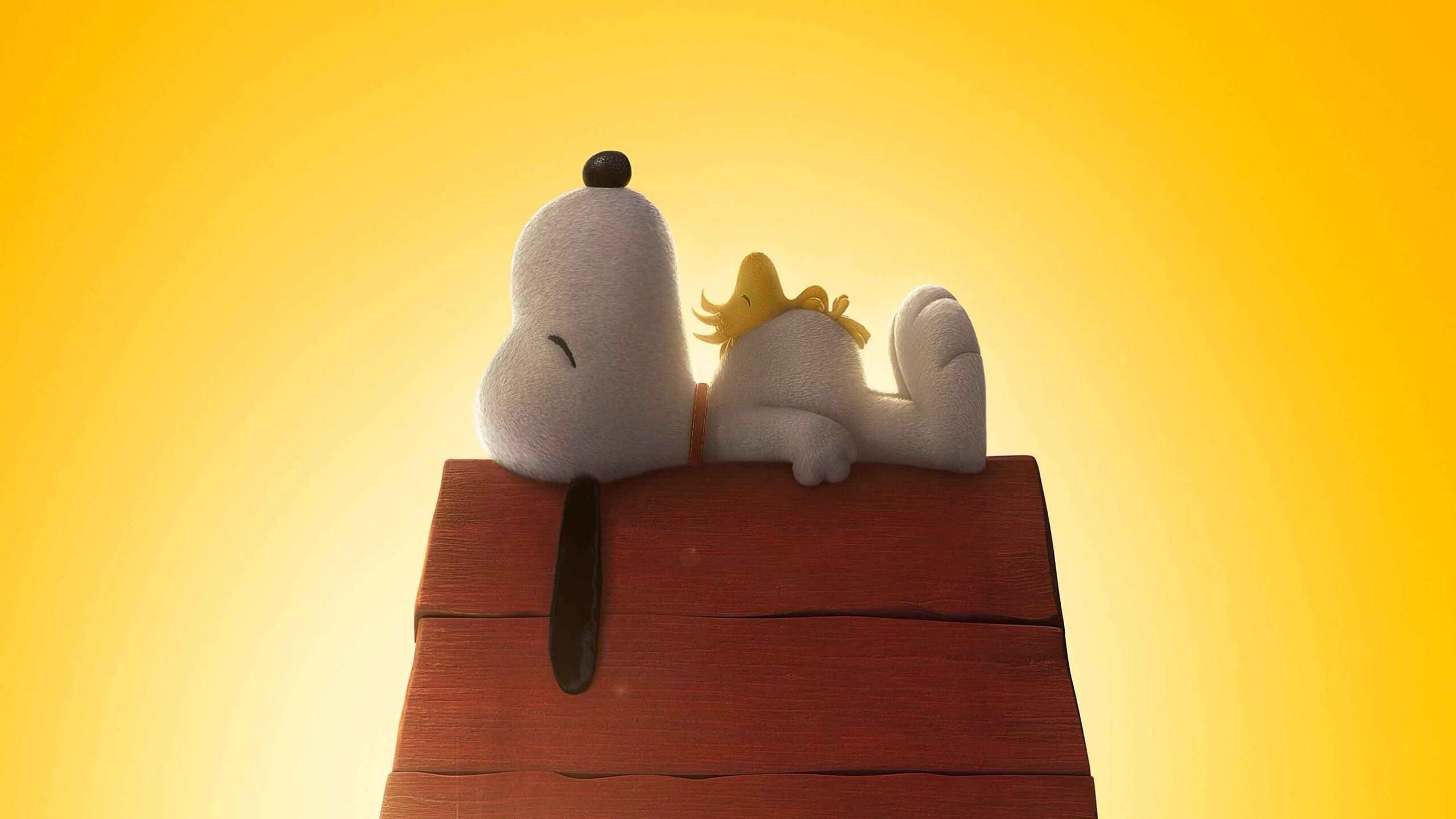 Snoopy 4K Wallpapers - Top Free Snoopy 4K Backgrounds - WallpaperAccess