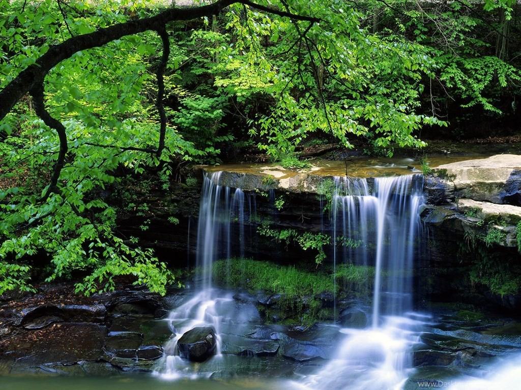 1024x768 Beautiful Nature River HD Desktop Wallpaper Zibrato Desktop Background