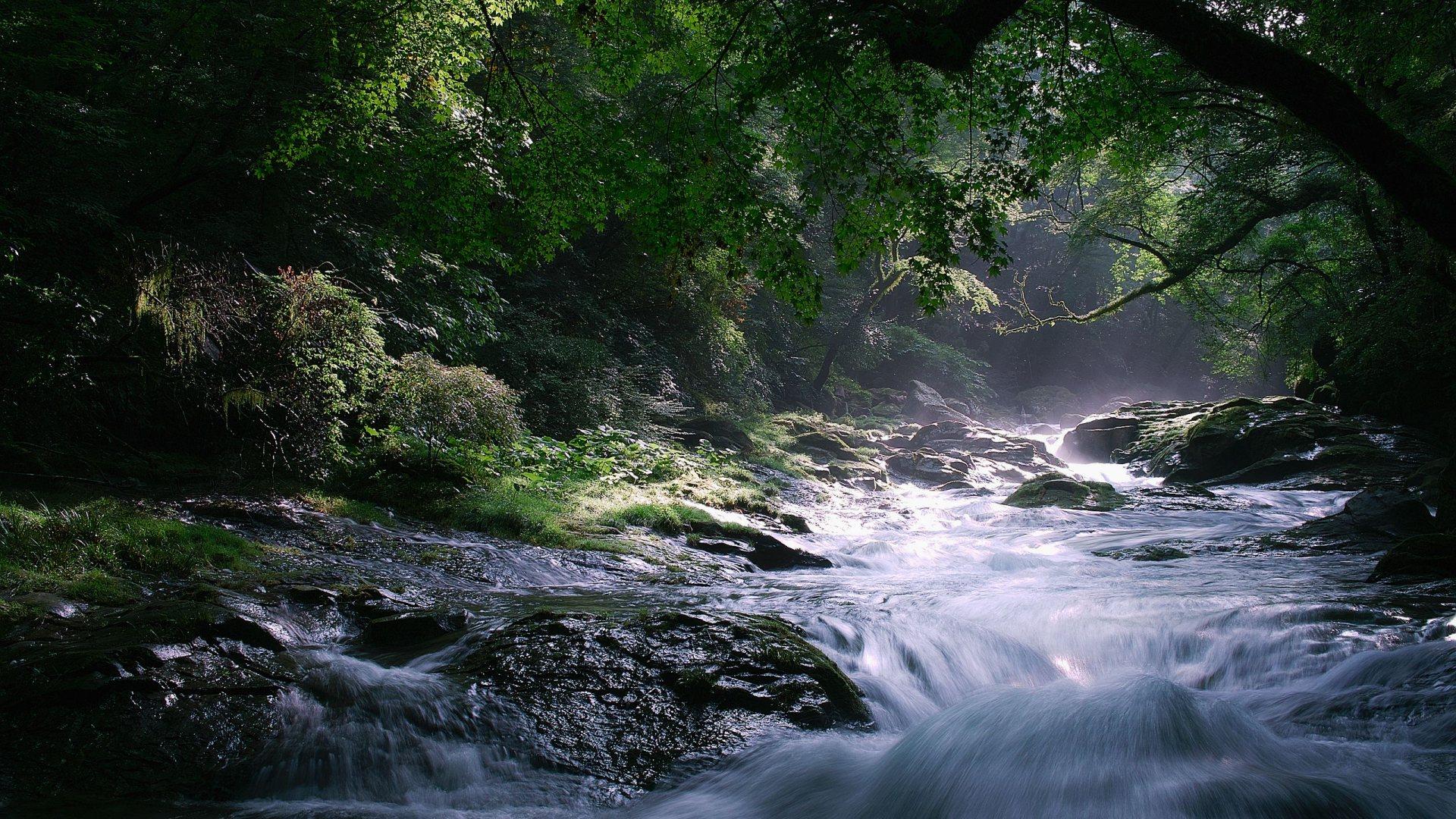 1920x1080 HD Beautiful Wallpaper Background For Free Download