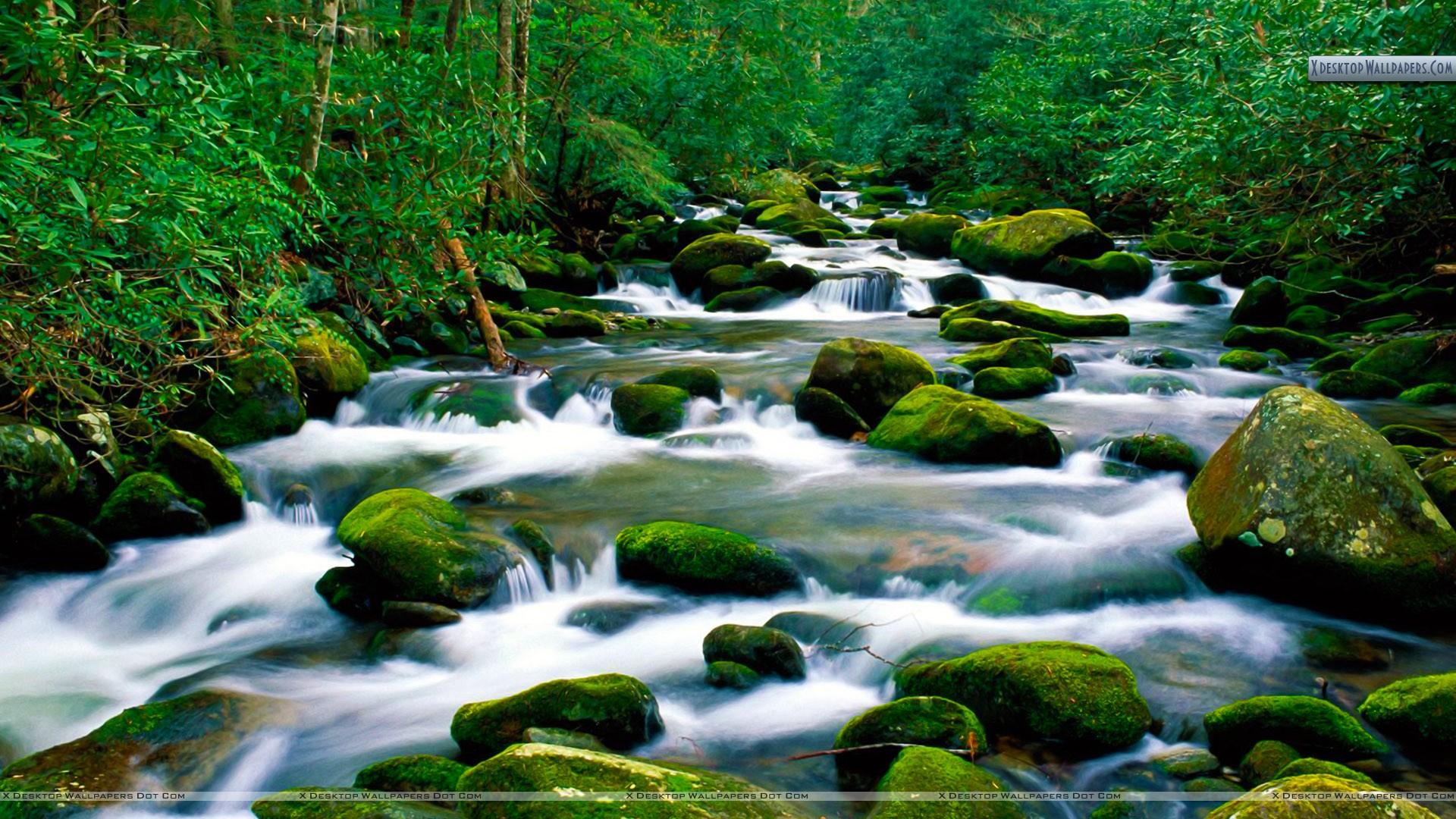 1920x1080 Roaring Fork River, Great Smoky Mountains, Tennessee Wallpaper
