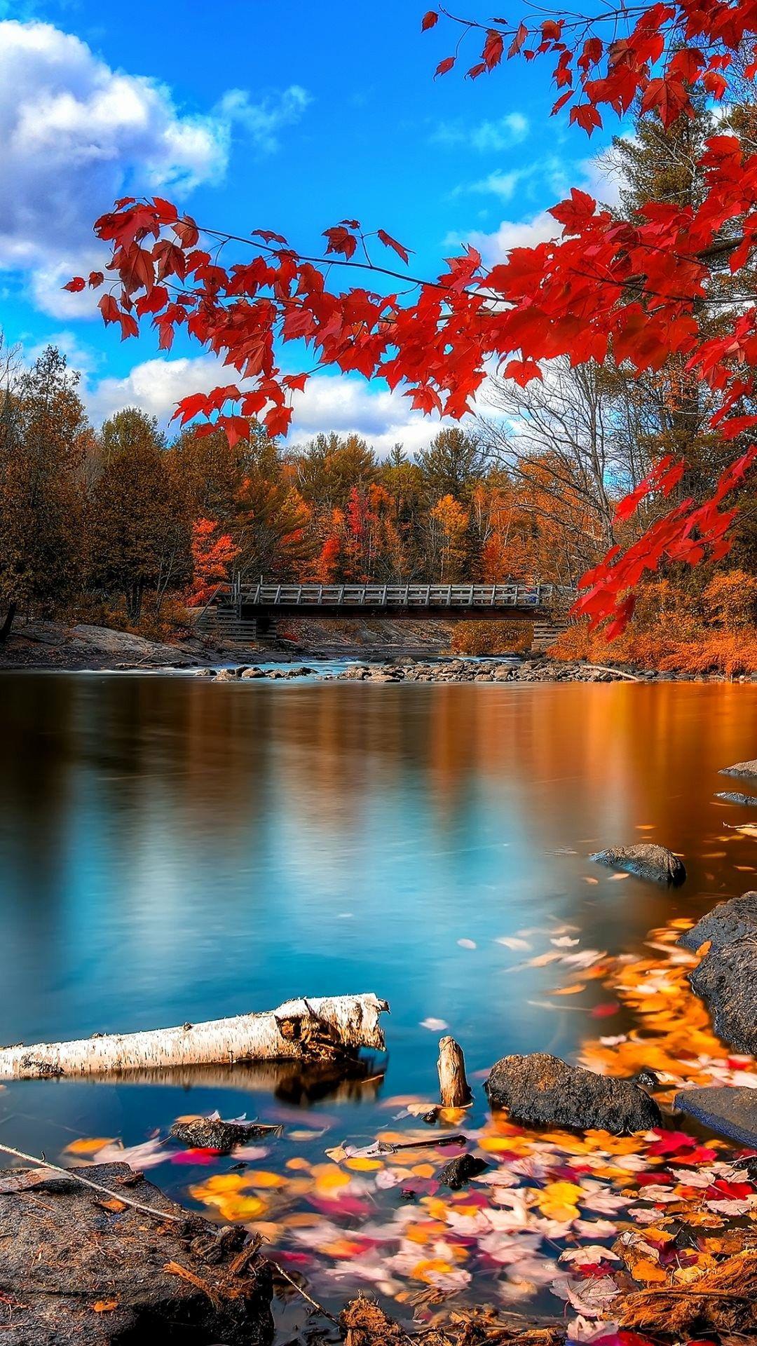 1080x1920 Wallpaper for Phone Beautiful 4k Phone Wallpaper 57 Wallpaperdata. Autumn scenery, Beautiful landscapes, Scenery