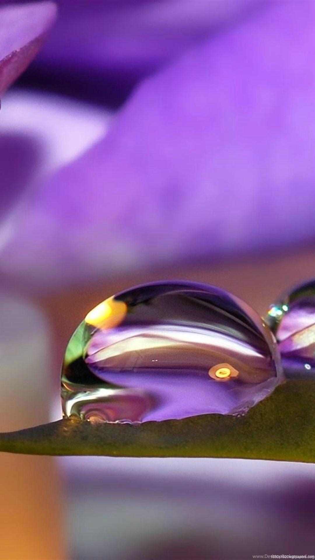 1080x1920 Beautiful Nature Wallpaper HD Desktop Background