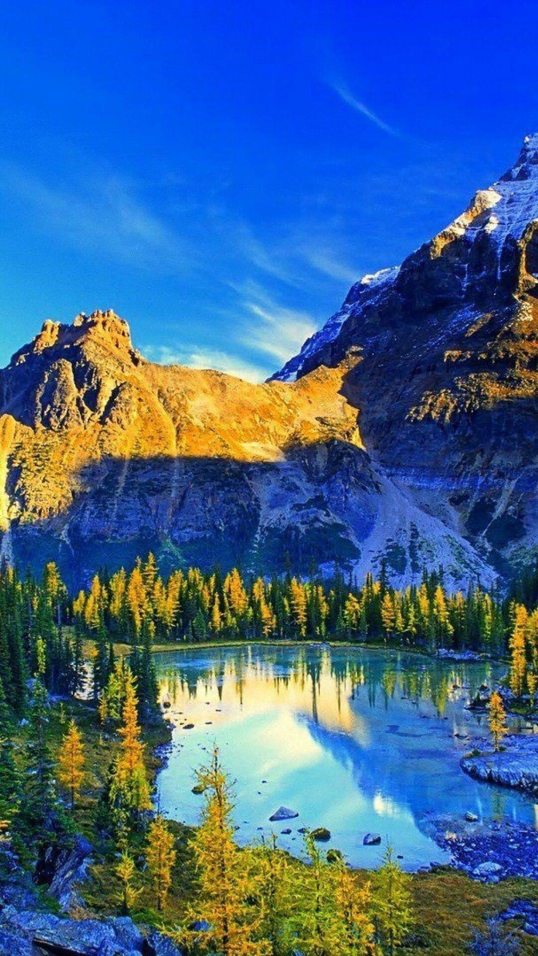 1080x1920 Beautiful 4k Ultra HD Nature Wallpaper / iPhone HD Wallpaper Background Download HD Wallpaper (Desktop Background / Android / iPhone) (1080p, 4k) (1080x1920) (2021)