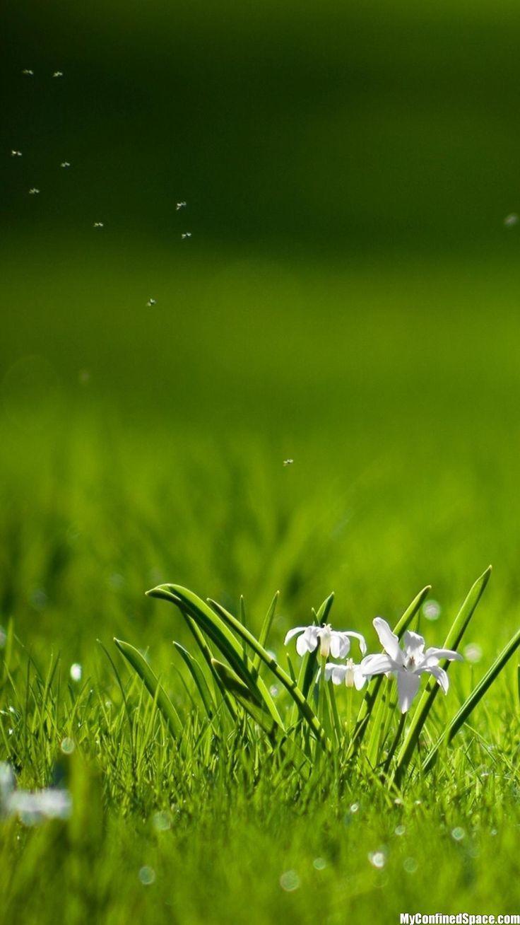 736x1308 Beautiful HD Wallpaper For Mobile 1080x1920 1920x1080 720x1280d nature wallpaper, HD nature wallpaper, 3D wallpaper for mobile