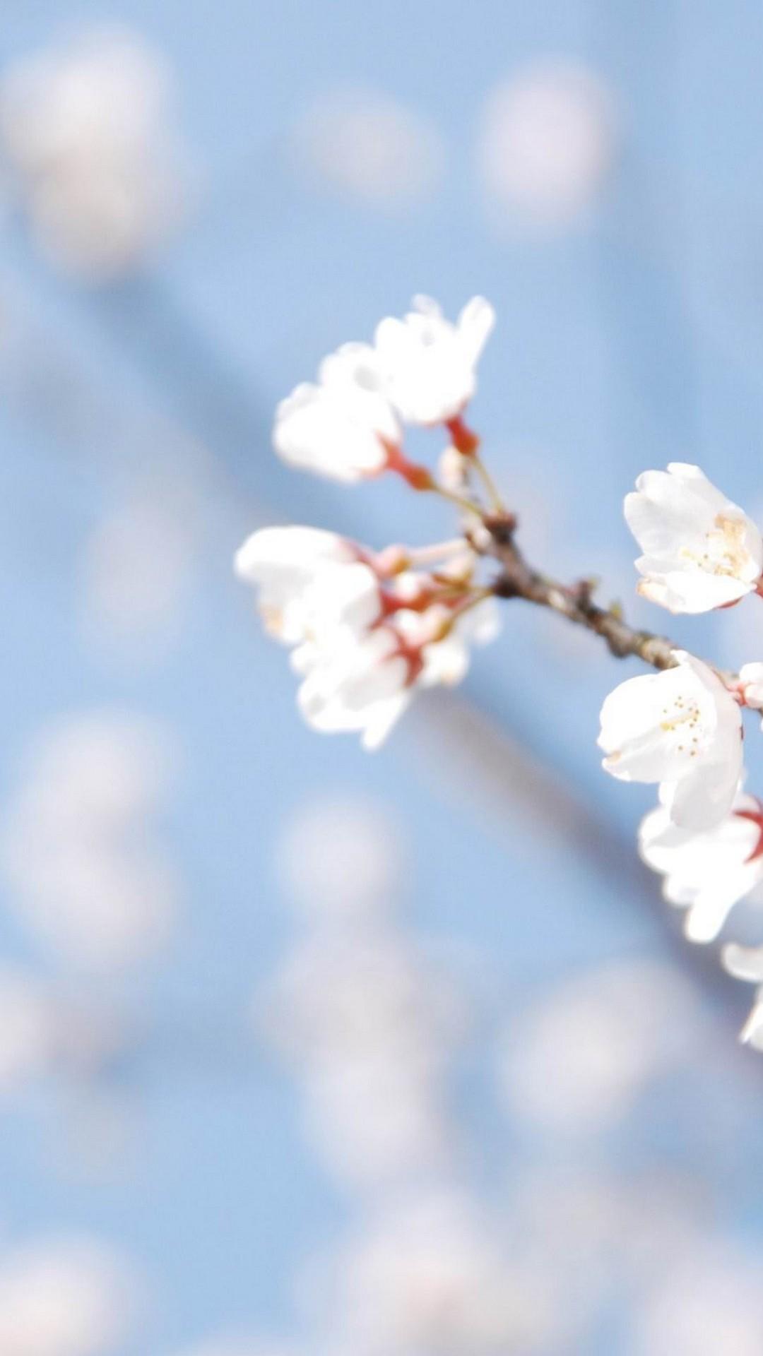1080x1920 Wallpaper Android Beautiful Spring Android Wallpaper