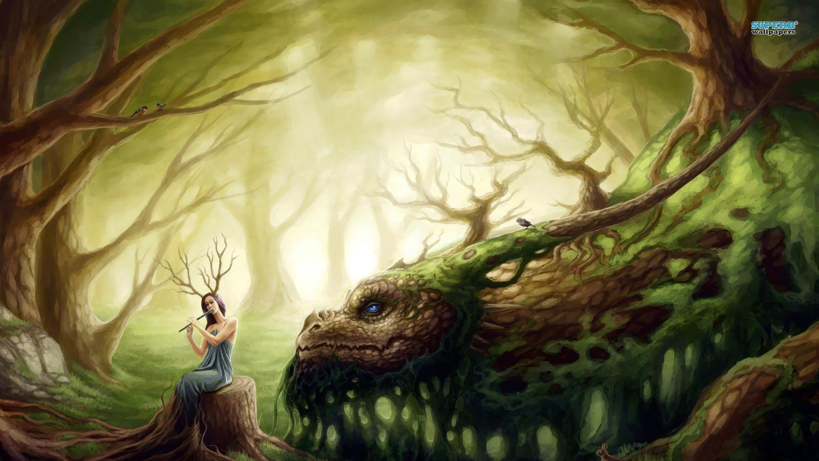 1600x900 Nature Forest Creatures
