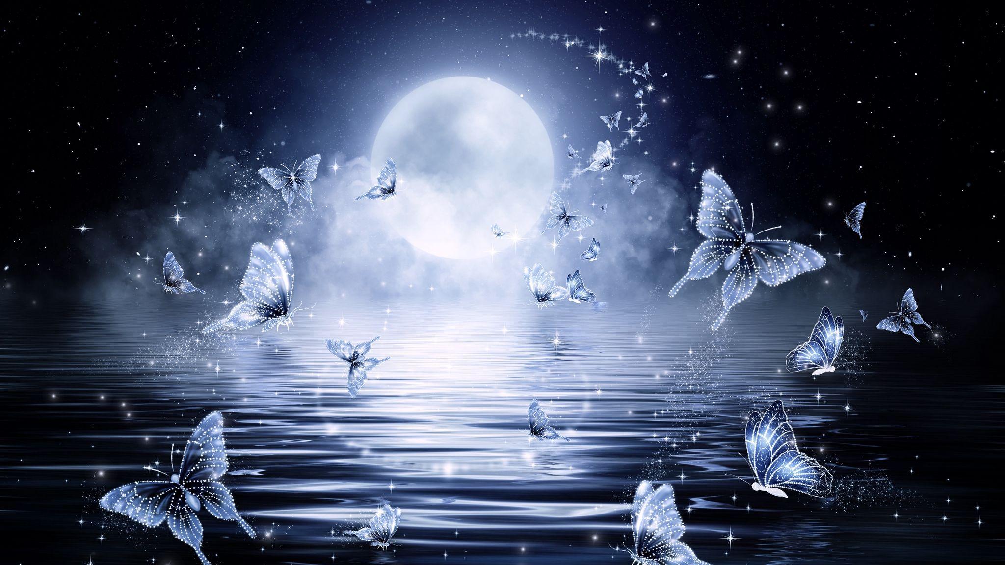 2048x1152 Butterfly Moon Wallpaper