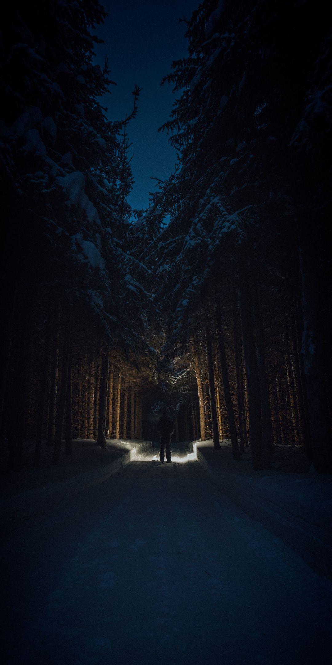 1080x2160 Download 1080x2160 wallpaper Man, dark, night out, trees, forest, Honor 7X, Honor 9 Lite, Honor View 18943. Forest wallpaper, Mountain wallpaper, Wallpaper
