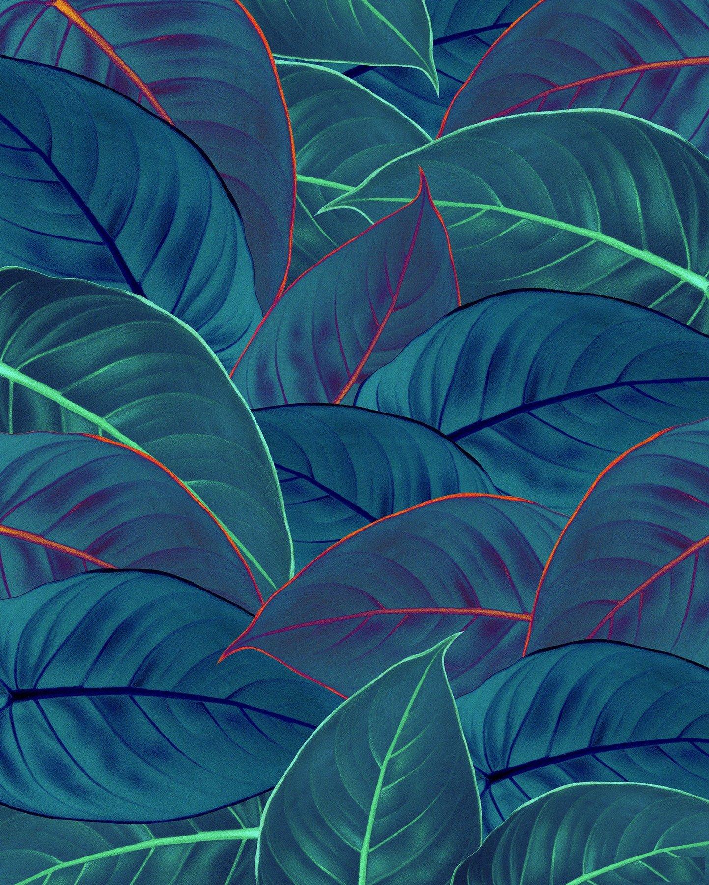 1443x1800 Tropical Leaf Wallpaper: Leaf Mural