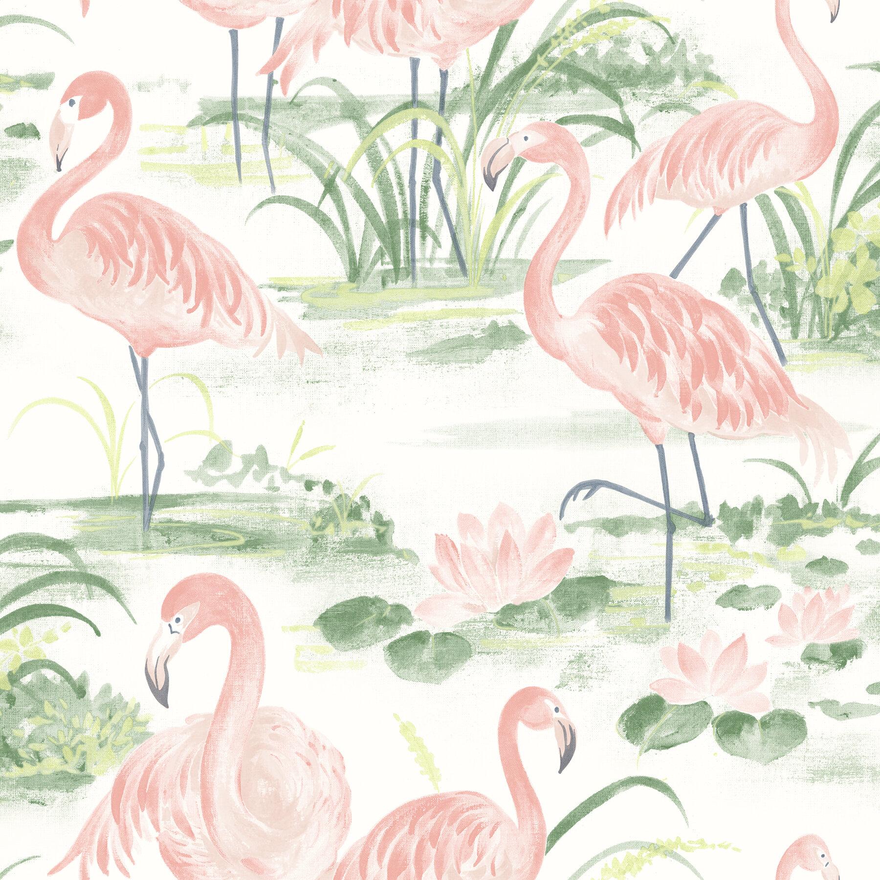 1800x1800 Bayou Breeze Triston Flamingos 33' L x 20.5 W Wallpaper Roll & Reviews