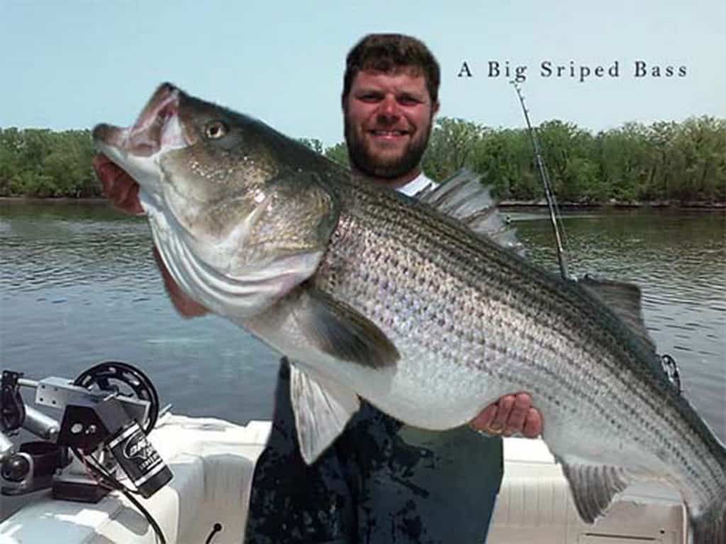 1024x768 How To Catch Big Fishes? In Rivers Or Lakes & From Shore