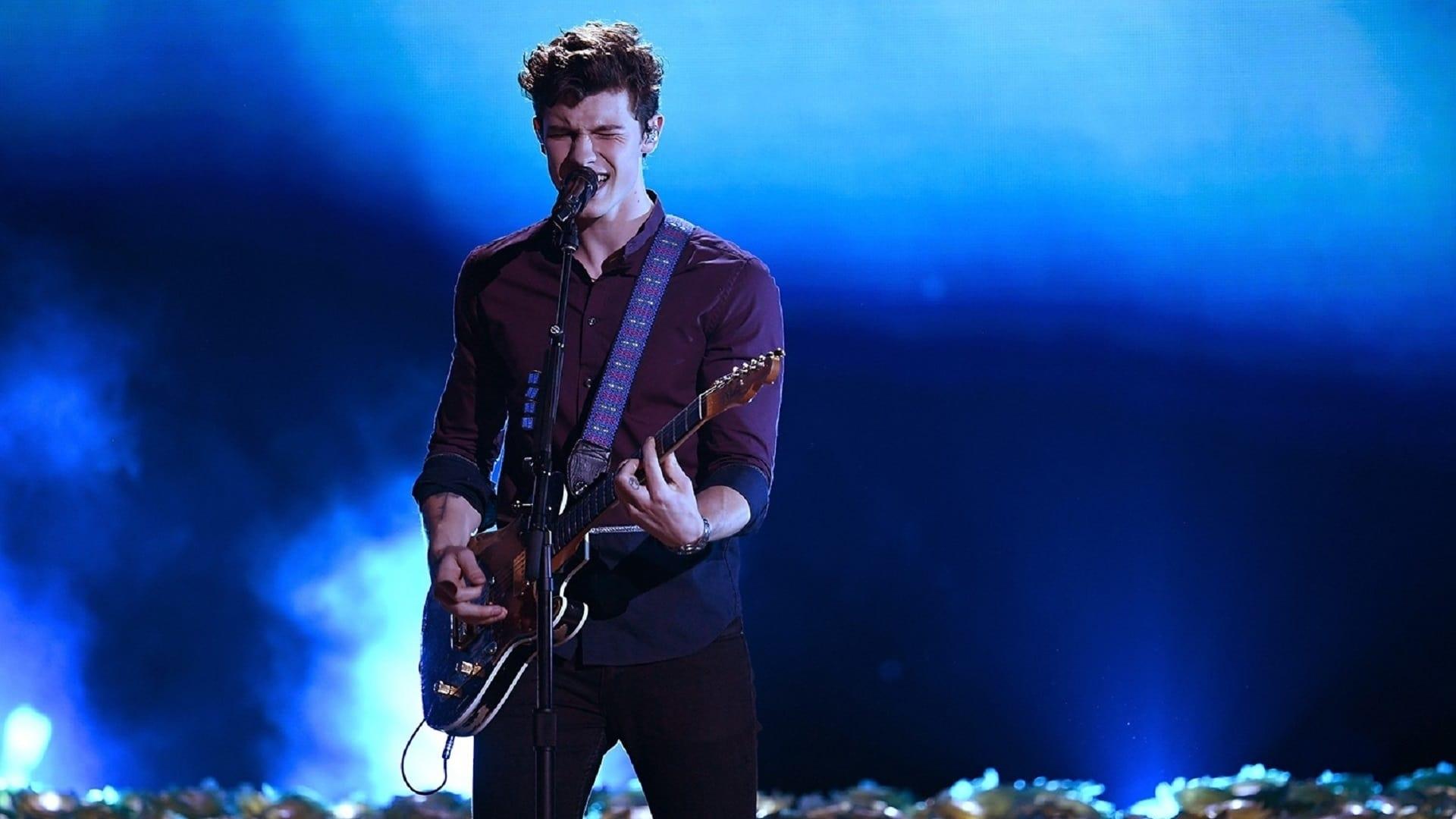 1920x1080 Shawn Mendes Netflix 2020 Wallpaper, HD TV Series 4K Wallpaper, Image, Photo and Background