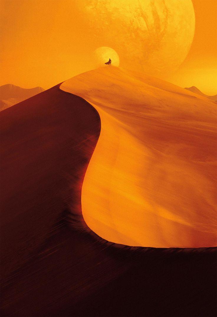 736x1075 HD Dune 2021 Movie Wallpaper, HD Movies 4K Wallpaper, Image, Photo and Background Den. Movie wallpaper, Dune, Movies