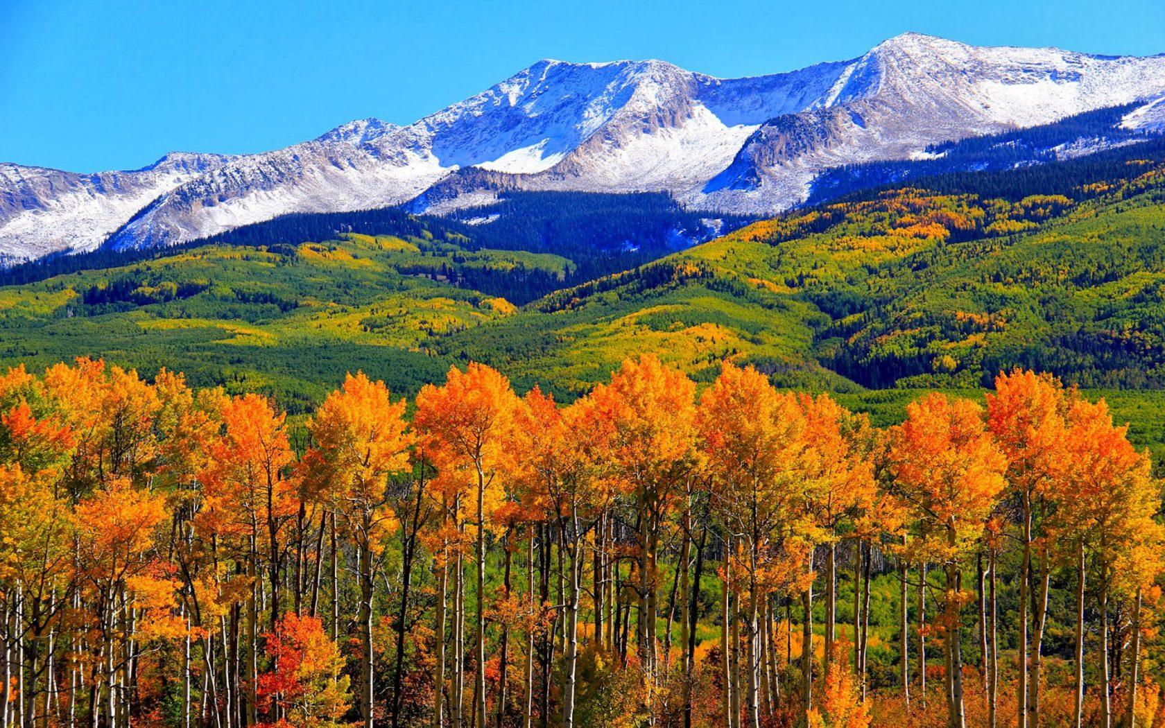 1680x1050 Autumn Colorado Fall Snowy Mountains Nature Landscape HD Wallpaper 1920x1200 :