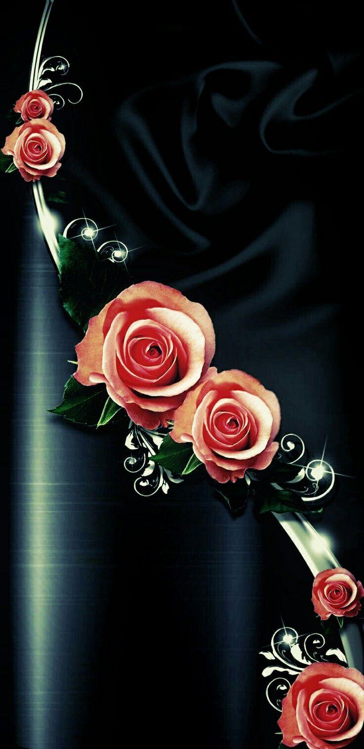 736x1512 Wallpaper background. Rose flower wallpaper, Flowery wallpaper, Red and black wallpaper