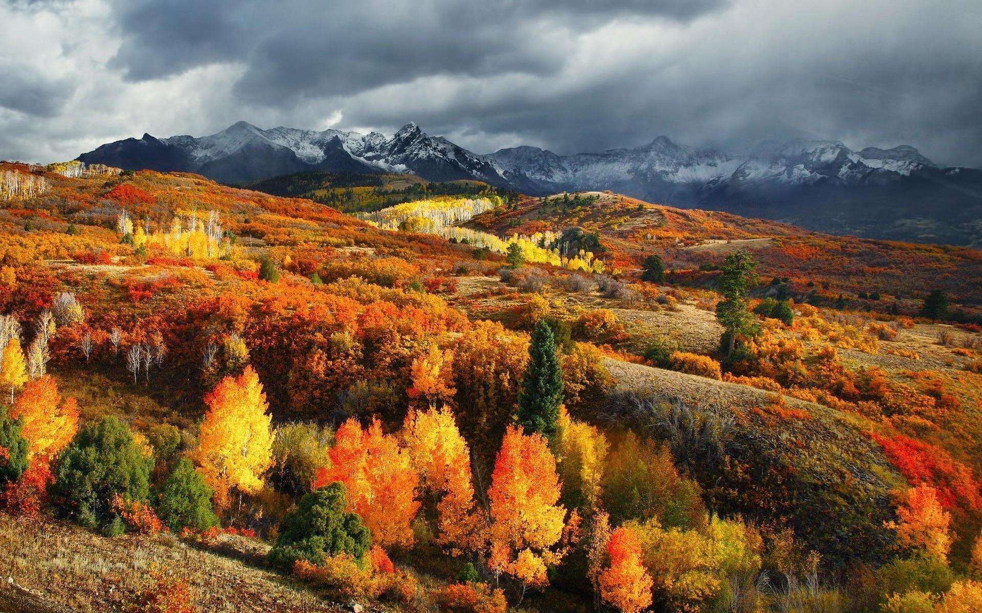 1920x1200 nature landscape fall forest mountain colorado snowy peak clouds colorful wallpaper HD Wallpaper