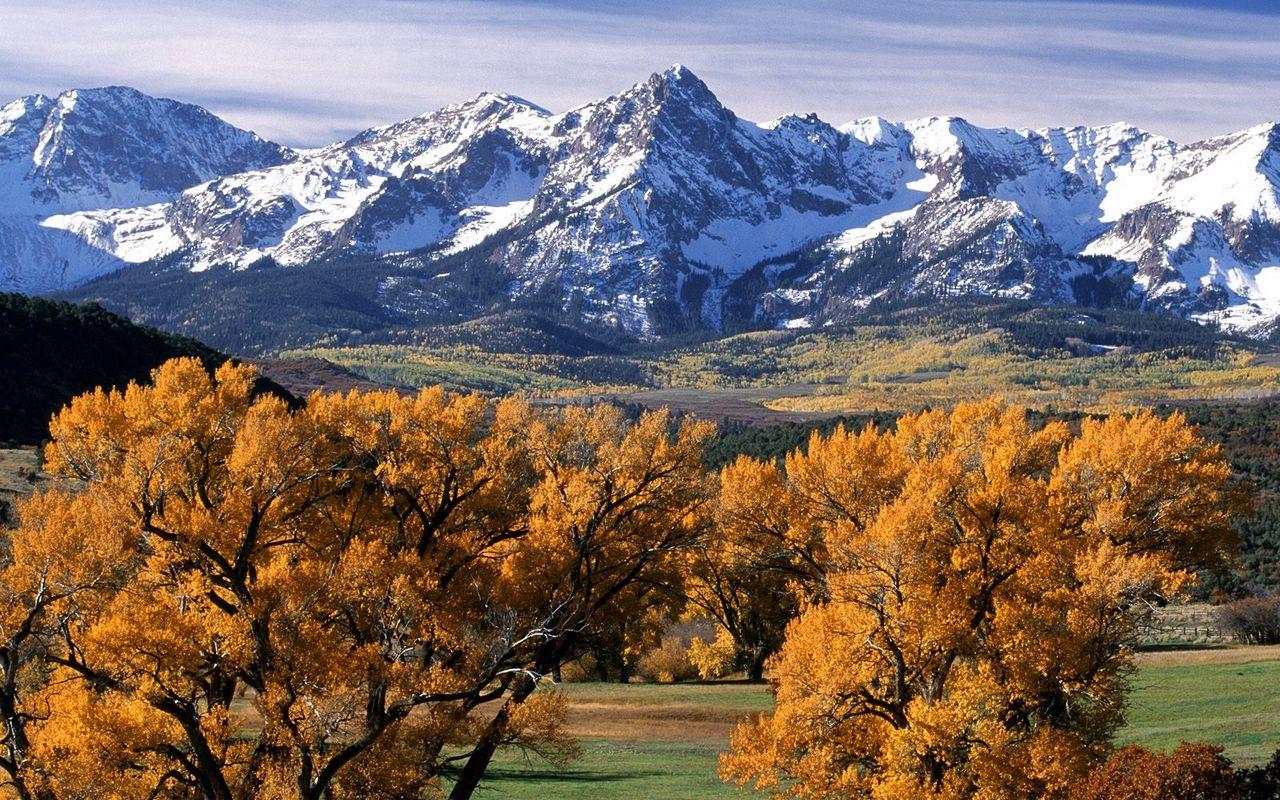 1280x800 Download wallpaper 1280x800 trees, autumn, crones, yellow, mountains, tops, colorado widescreen 16:10 HD background
